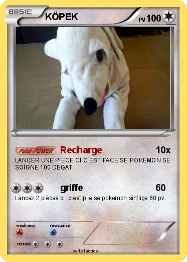 Pokemon KÖPEK