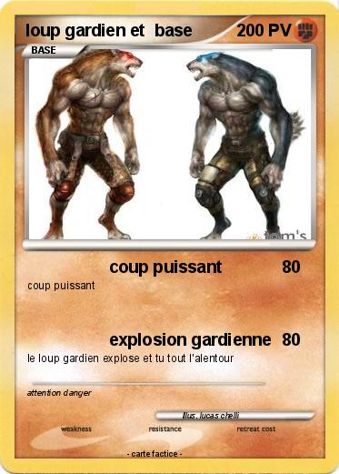 Pokemon loup gardien et  base