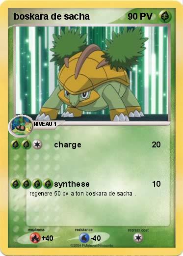Pokemon boskara de sacha 