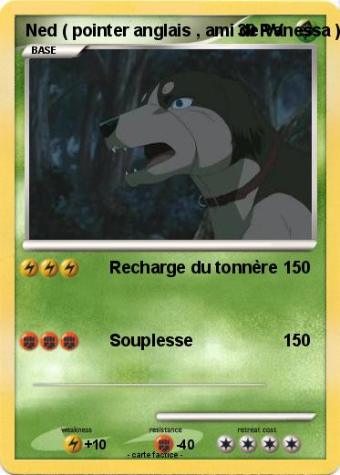 Pokemon Ned ( pointer anglais , ami de Vanessa )