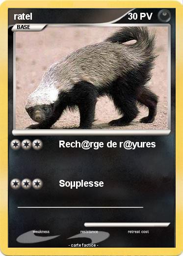 Pokemon ratel