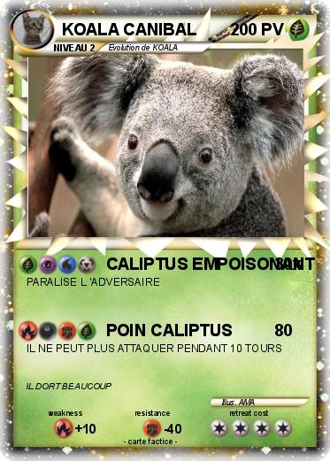Pokemon KOALA CANIBAL