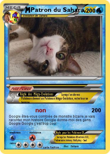 Pokemon Patron du Sahara