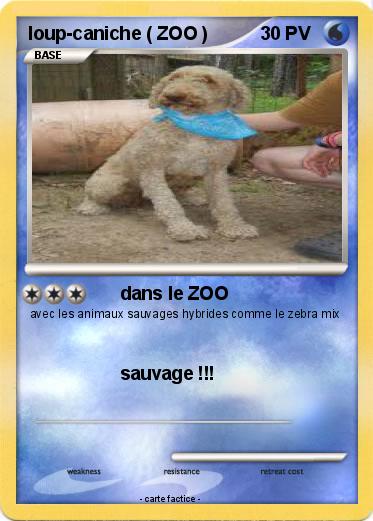 Pokemon loup-caniche ( ZOO )