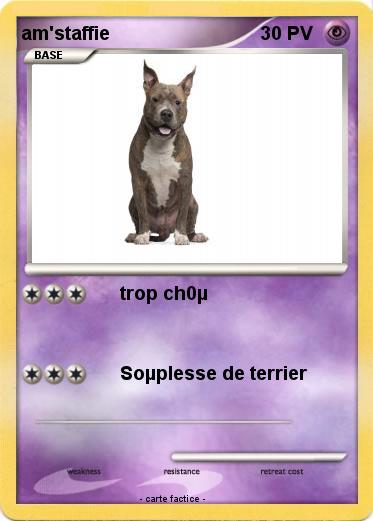 Pokemon am'staffie