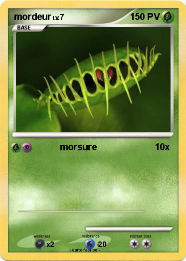 Pokemon mordeur