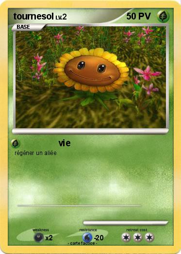 Pokemon tournesol
