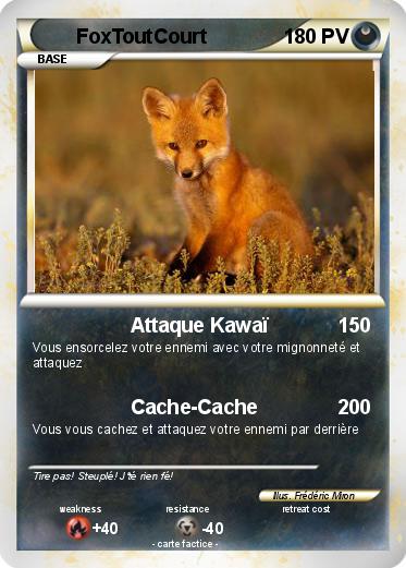 Pokemon FoxToutCourt