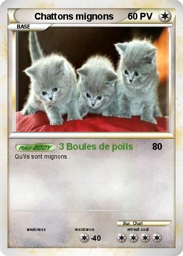 Pokemon Chattons mignons