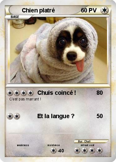 Pokemon Chien platré