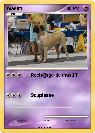 Pokemon mastiff