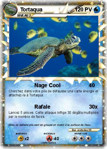 Pokemon Tortaqua