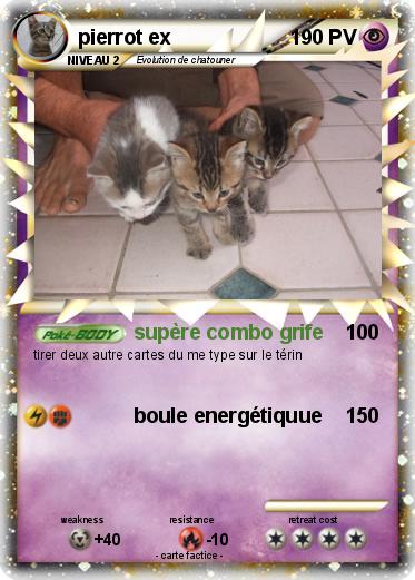 Pokemon pierrot ex