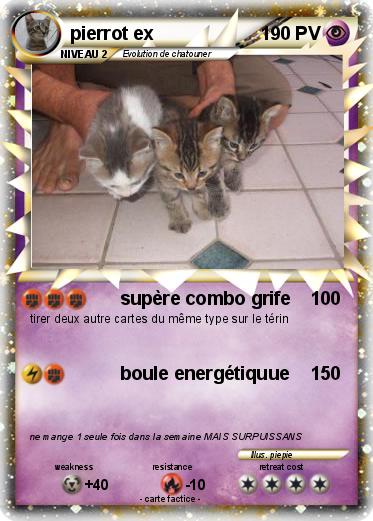 Pokemon pierrot ex