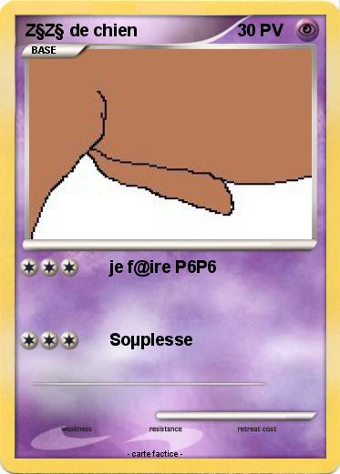 Pokemon Z§Z§ de chien