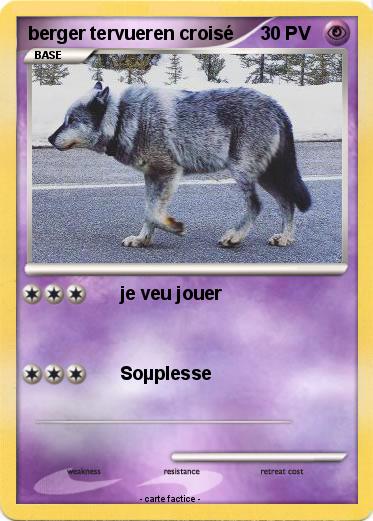 Pokemon berger tervueren croisé