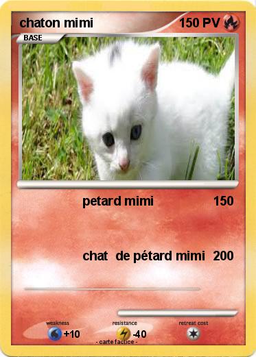 Pokemon chaton mimi