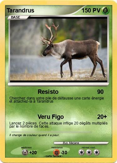 Pokemon Tarandrus