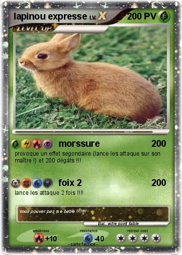 Pokemon lapinou expresse
