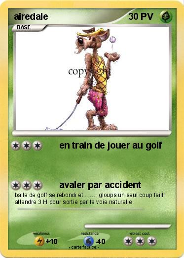 Pokemon airedale