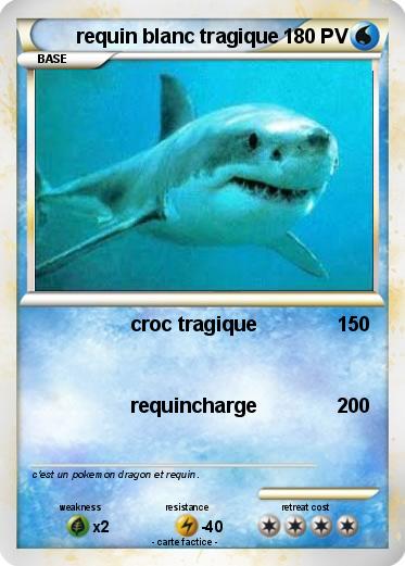 Pokemon requin blanc tragique