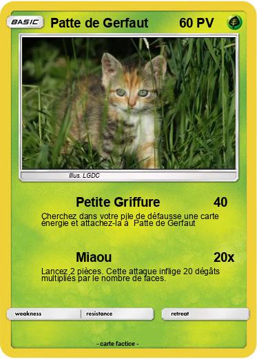 Pokemon Patte de Gerfaut