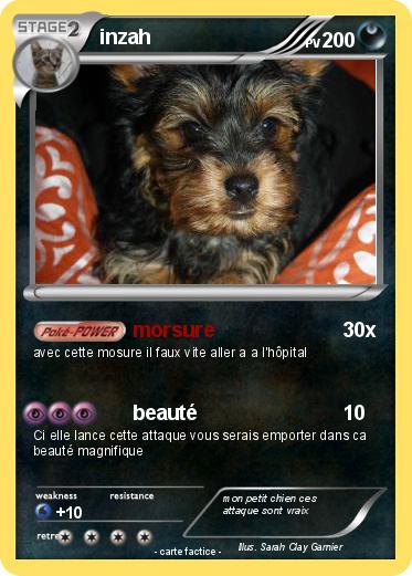 Pokemon inzah