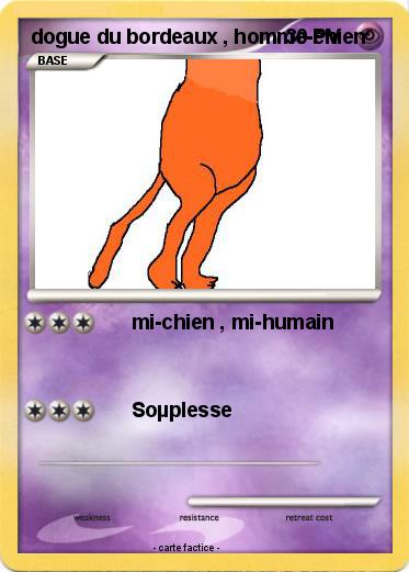 Pokemon dogue du bordeaux , homme-chien