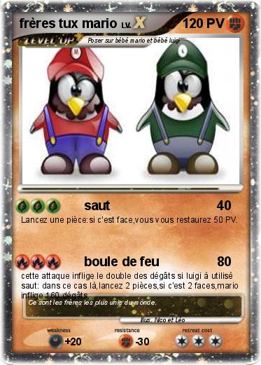 Pokemon frères tux mario