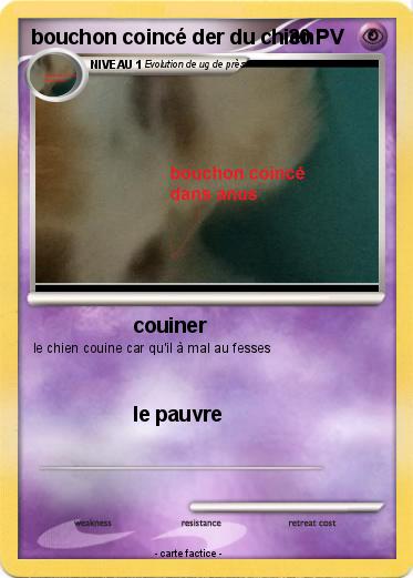 Pokemon bouchon coincé der du chien