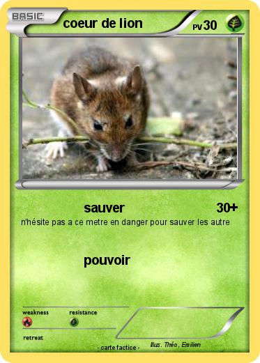 Pokemon coeur de lion