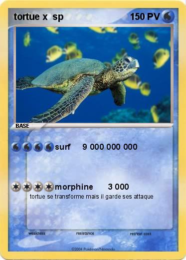Pokemon tortue x  sp