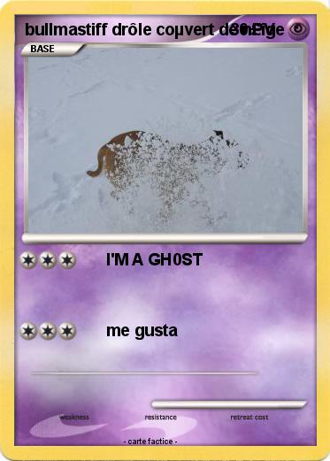 Pokemon bullmastiff drôle coµvert de n£ige