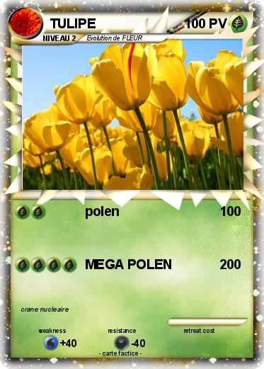Pokemon TULIPE