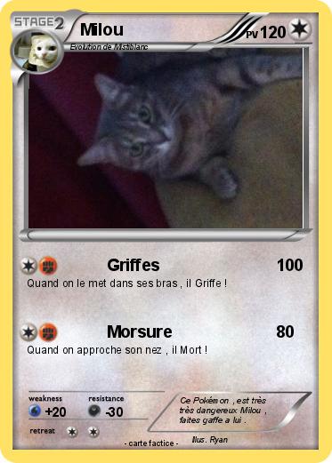 Pokemon Milou