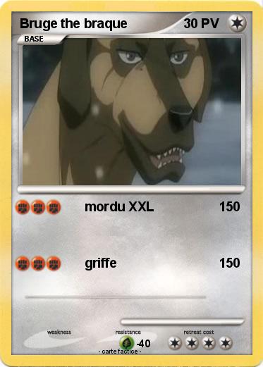 Pokemon Bruge the braque