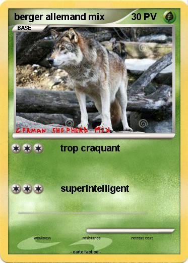 Pokemon berger allemand mix