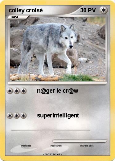 Pokemon colley croisé