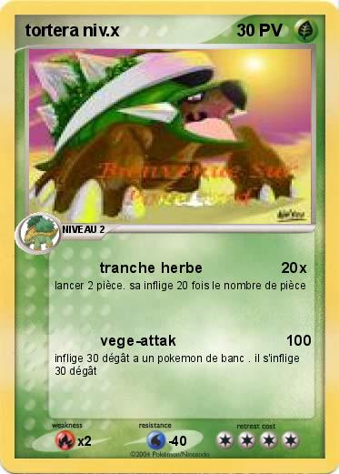 Pokemon tortera niv.x