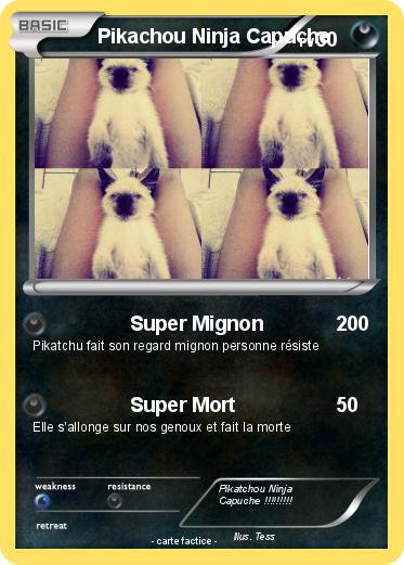 Pokemon Pikachou Ninja Capuche