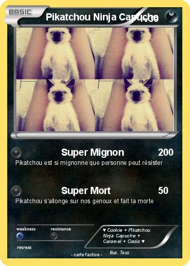 Pokemon Pikatchou Ninja Capuche