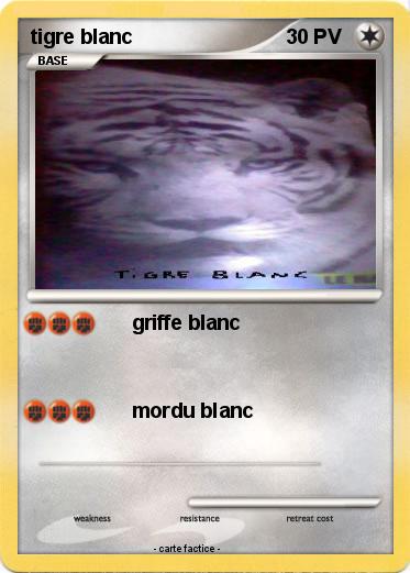 Pokemon tigre blanc