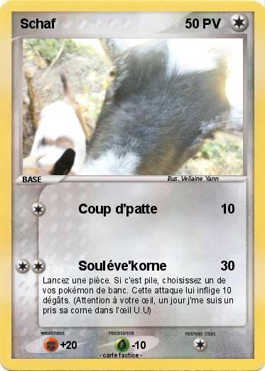 Pokemon Schaf
