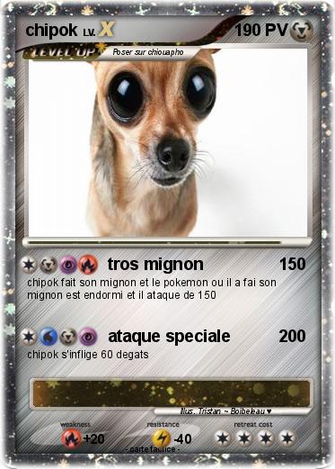 Pokemon chipok