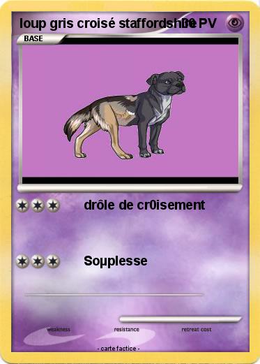 Pokemon loup gris croisé staffordshire