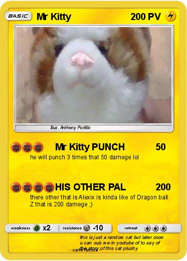 Pokemon Mr Kitty