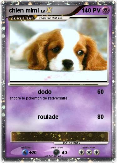 Pokemon chien mimi