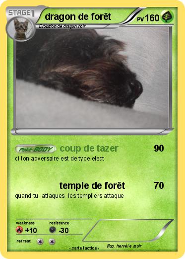 Pokemon dragon de forêt