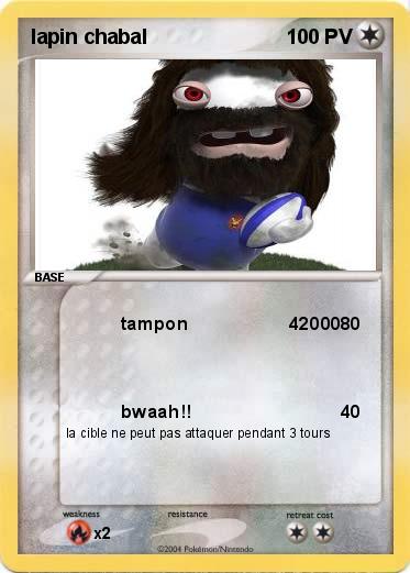Pokemon lapin chabal