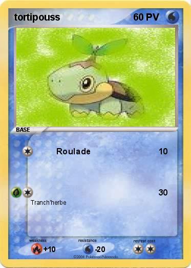 Pokemon tortipouss